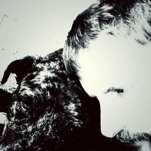 Meet your Posher, Hank-wally